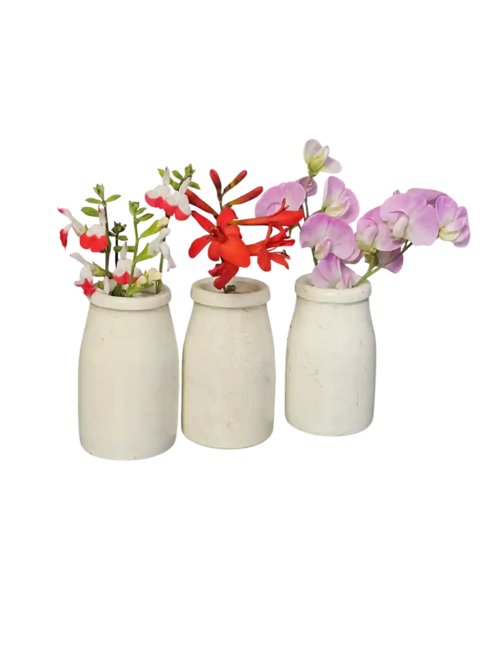Vintage flowers